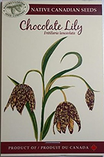 Seeds, Chocolate Lilly