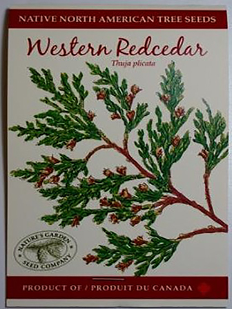 Tree, Western Redcedar Seeds