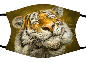 Mask, Smiling Tiger