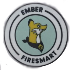 Pin, Lapel FireSmart, Round