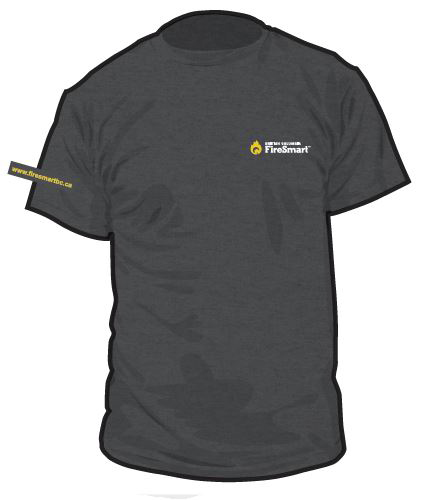 T-Shirt, Firesmart, Charcoal, Large