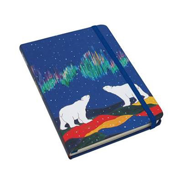 Journal, Skywatchers