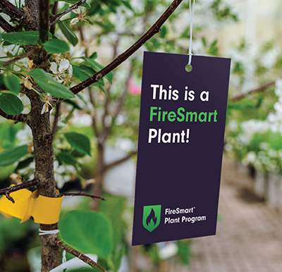 Plant Hanging Tags, Firesmart Plant Program