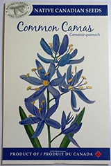 Seeds, Common Camas