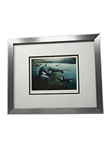 Framed Art Card, Oceanic Point