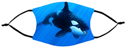 Mask, Orca
