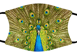 Mask, Peacock