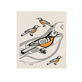 Eco Cloths, Robin